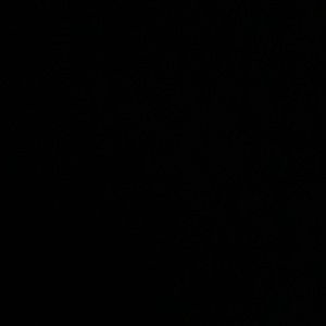 Meet your Posher, Logan